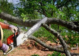 Lawn Irrigation Installation and Maintenance in Roanoke, VA